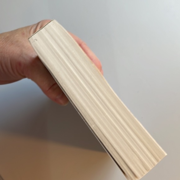 📚2/$6  Peter and the Secret of Rundoon #3 in Series - Picture 6 of 12